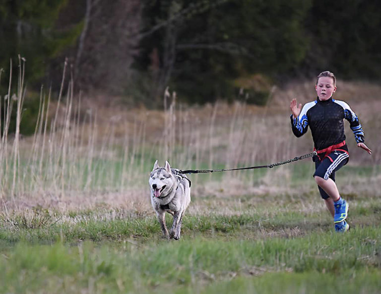 Lapsen ja koiran kanssa koirajuoksukouluun