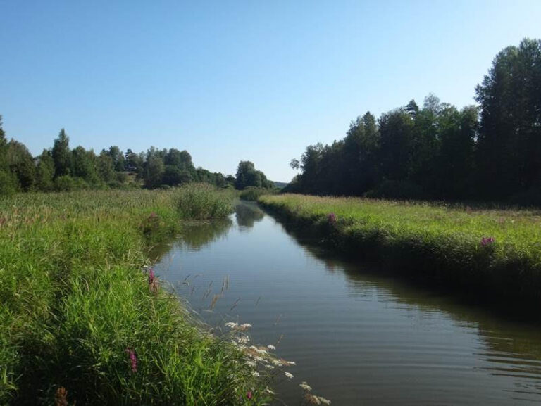 Siuntionjoen vesistön ja Pikkalanlahden tilanne
