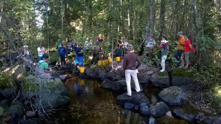 Virtavesien kunnostus kiinnostaa