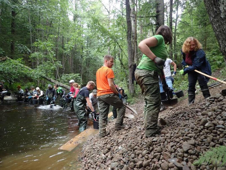 Talkoisiin Siuntionjoen Kivikoskenpurolle