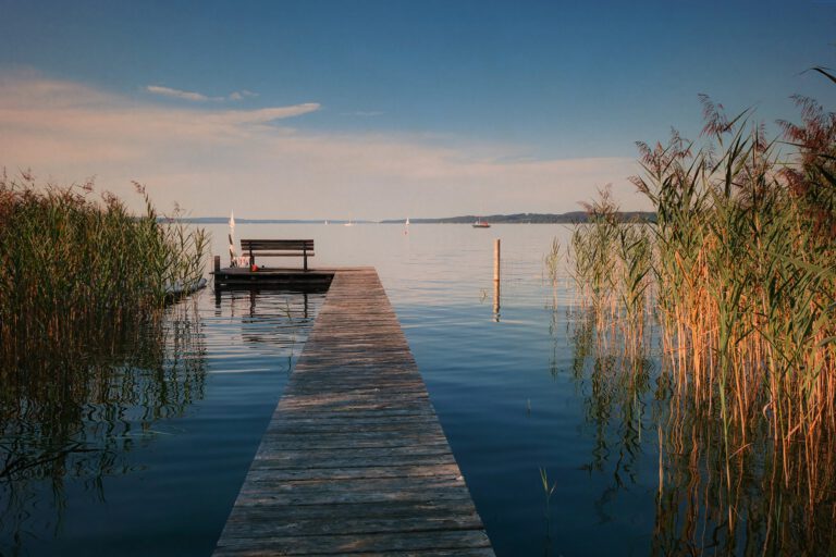 Ajattelitko äänestää?