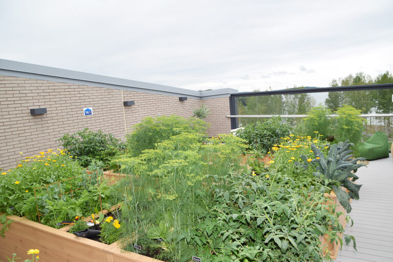 Yrittäjät ja messut