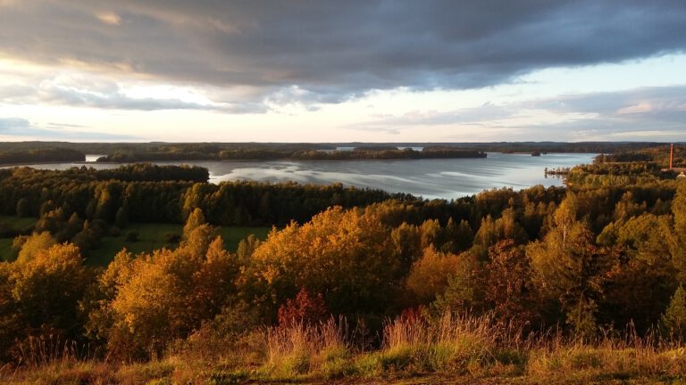 Sappi luopuu hiilen käytöstä Kirkniemen paperitehtaan energiantuotannossa