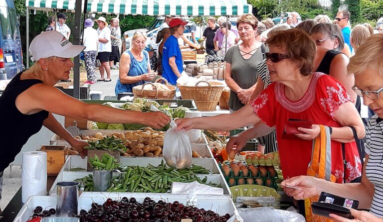 Karjalohjan Elonkorjuutori järjestetään jälleen perjantaina 5.8.2022