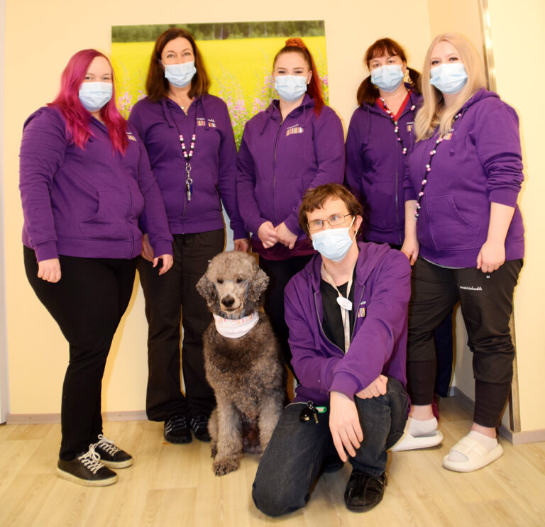 Terapiakoira Severi hakee uusia työkavereita