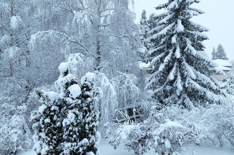 Talvi tuli – ja joulu on jo ovella