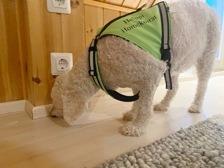 Sisäilmaltaan puhtaassa talossa on hyvä elää