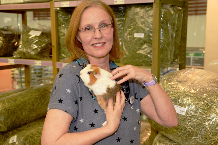 Lemmikki on kuin perheenjäsen – mutta kannattaa muistaa, että eläin on kuitenkin eläin