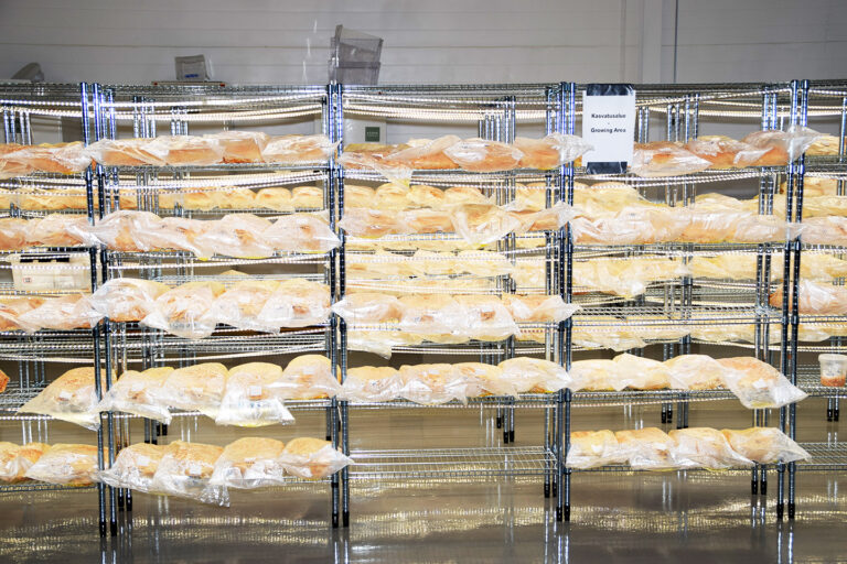 Wisconsinista Karjalohjalle – Kääpä Biotechin tarina