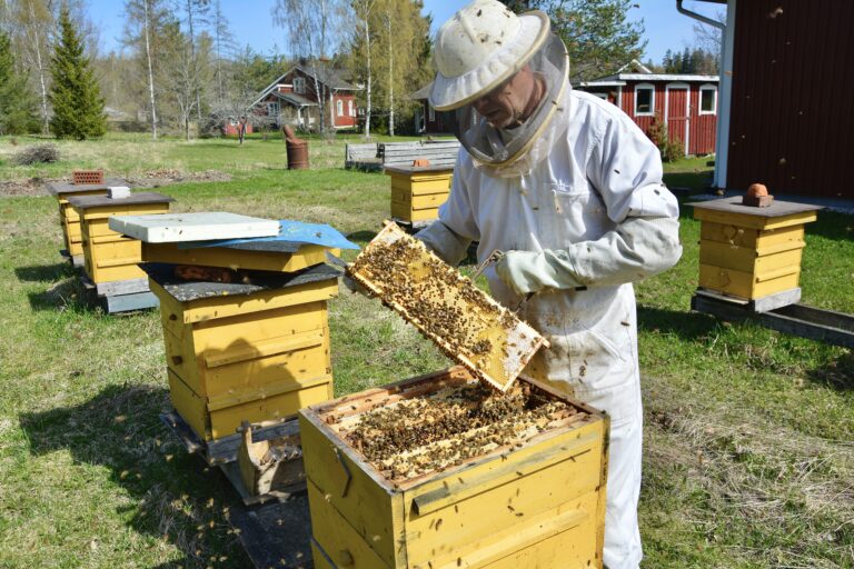 Hunajaista työtä jo yli 20 vuoden ajan