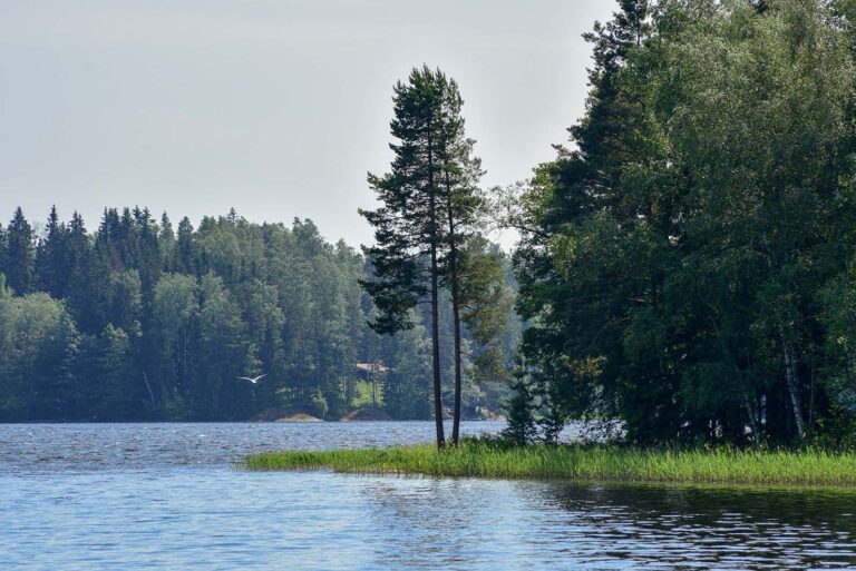 Lehmijärvi on edelleen hyvässä tilassa