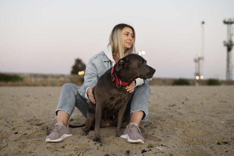 Koira – perheenjäsen vai harrastus – vaiko peräti ammatti? Katso tästä vinkit omalle koiratulevaisuudelle