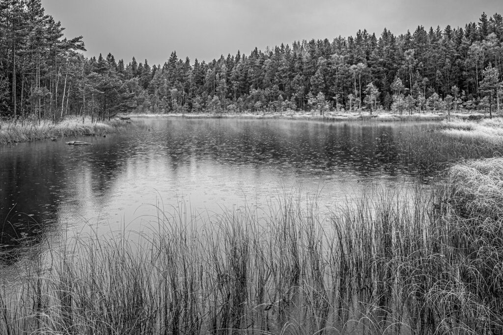 Heikki Simpura ja Leo Vuorinen
ajattelevat mustavalkoisesti.
Ainakin valokuvien
suhteen.
– Mustavalkoinen kuva pelkistää
ja tuo asiat paremmin
esille. Värikuviin jää usein elementtejä,
jotka vievät huomion
pois olennaisesta, Simpura
sanoo.
– Mustavalkoinen kuva on
jotenkin rauhoittava ja rauhallinen
ja samalla ajaton, Vuorinen
täydentää.
Värivalokuvalle on toki sijansa,
eivätkä Simpura ja Vuorinen
julistaudu värikuvan vihamiehiksi.
Mutta ei ole yllätys, että
heidän näyttelynsä Lohjan
pääkirjaston Galleriakäytävässä
on ytimekkäästi nimeltään
Mustavalkoisia valokuvia.
Lähiluonnossa on
tunnelmaa
Näyttelyssä on 40 kuvaa luonnosta
tai maaseudun kulttuurimaisemista.
– Emme sopineet etukäteen,
että kummaltakin olisi saman
verran kuvia, kun yhdessä poimimme
parhaita varsin laajasta
valikoimasta. Mutta lähes tasan
se määrä meni, kun kuvat oli
valittu, Simpura myhäilee eikä
paljasta kummanko otoksia oli
enemmän.
Tuoreimmat on otettu tänä
Heikki Simpura: Satelee hiljalleen (Karkkila).