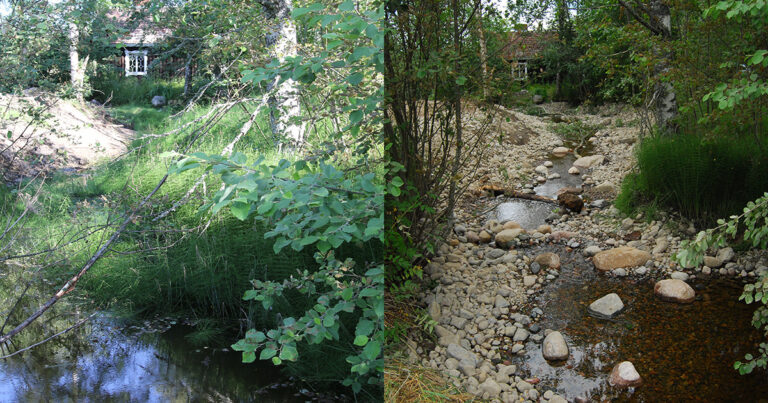 Vuoden 2023 virtavesitöissä purettiin pato ja edistettiin kalojen kulkua