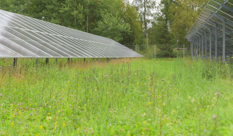 Aurinkosähköpuiston maa-alueen maanvuokraaminen Maksjoelta