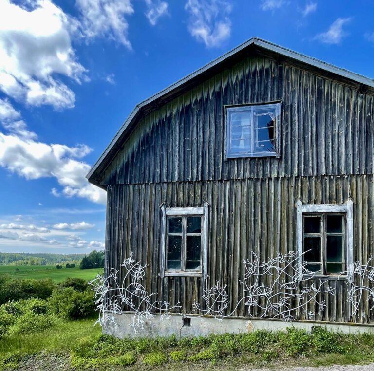 Osallistavaa taidetta Koisjärvellä