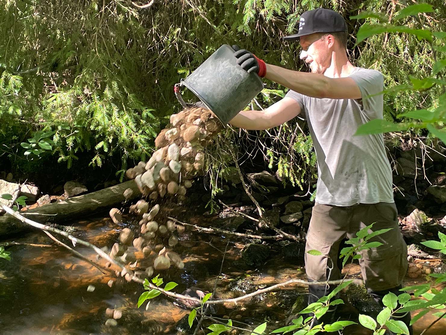 Kuva (c) Eljas Rahikainen