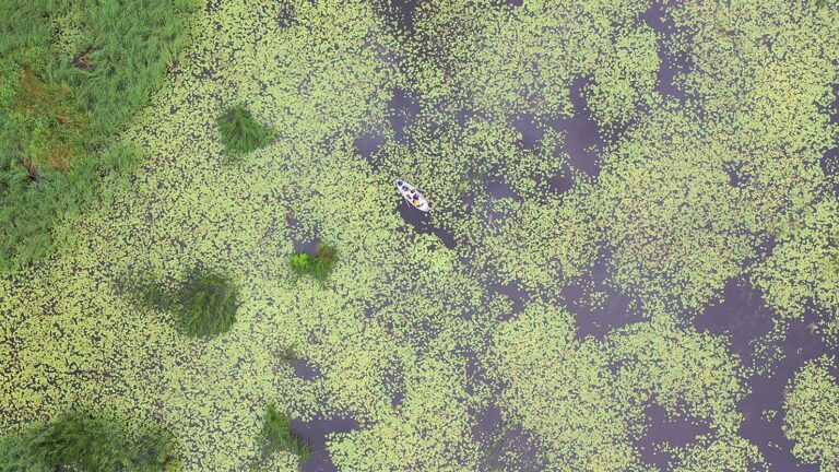 Viisi vuosikymmentä vesiensuojelun yhteistyötä Länsi-Uudellamaalla  