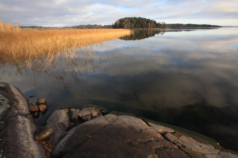 Järvitunnelmia Linderinsalin kesän valokuvanäyttelyssä
