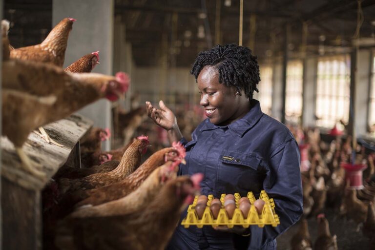 Kävele tai juokse naiselle ammatti – Lohjan Naisten Pankin ensitempaus 6.9.