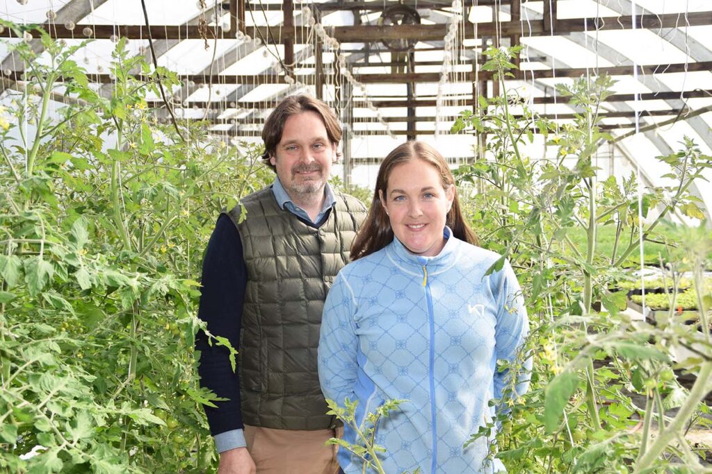 puutarha tomaatit torrbacka