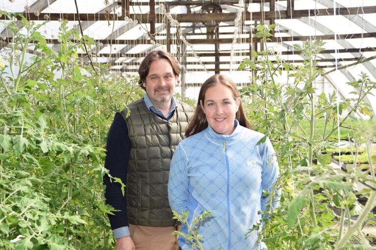 puutarha tomaatit torrbacka