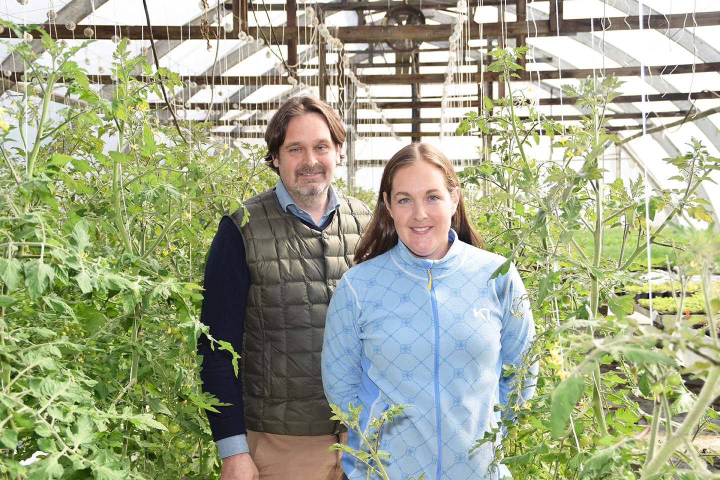 puutarha tomaatit torrbacka