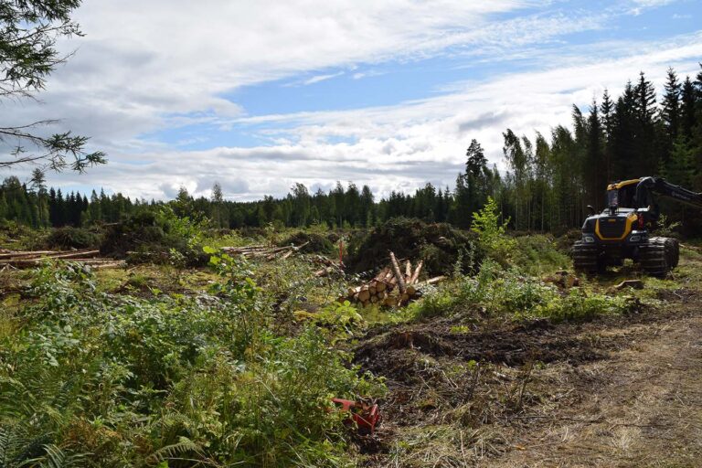 Virkkalan datakeskushanke etenee