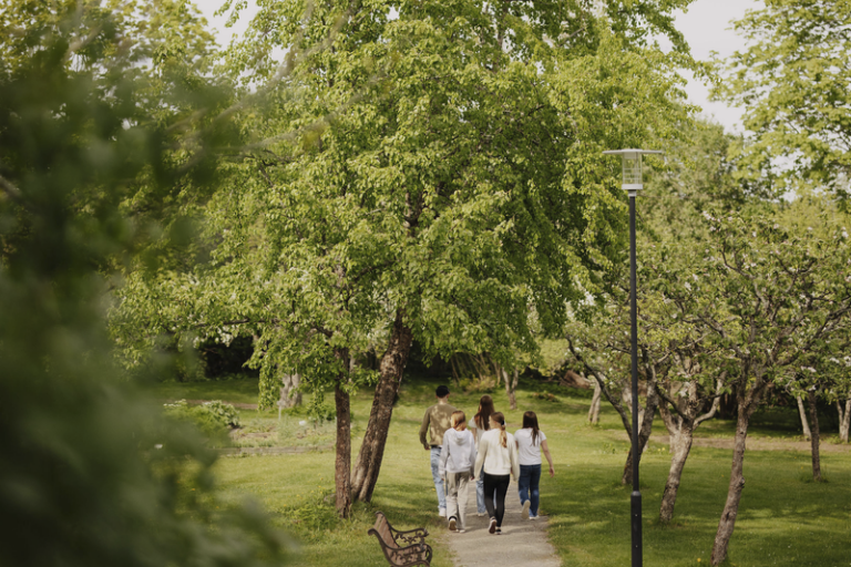 Lohjan kaupunki roskatalkoot