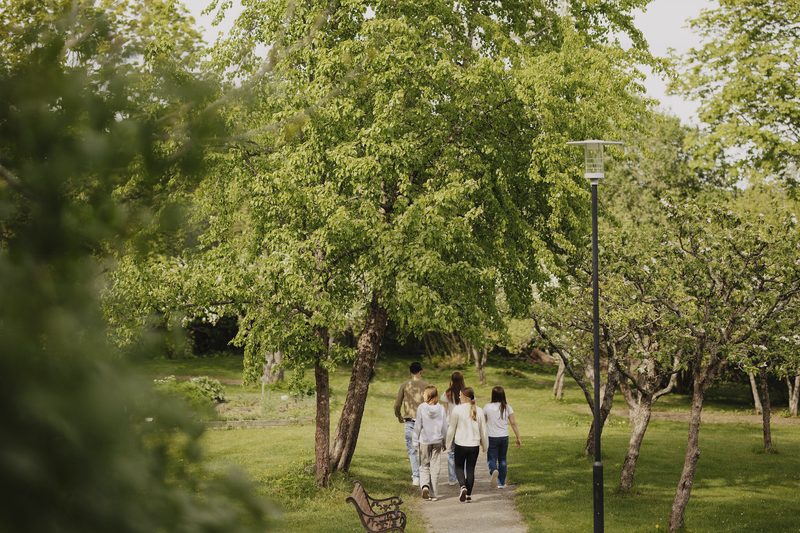 Lohjan kaupunki roskatalkoot