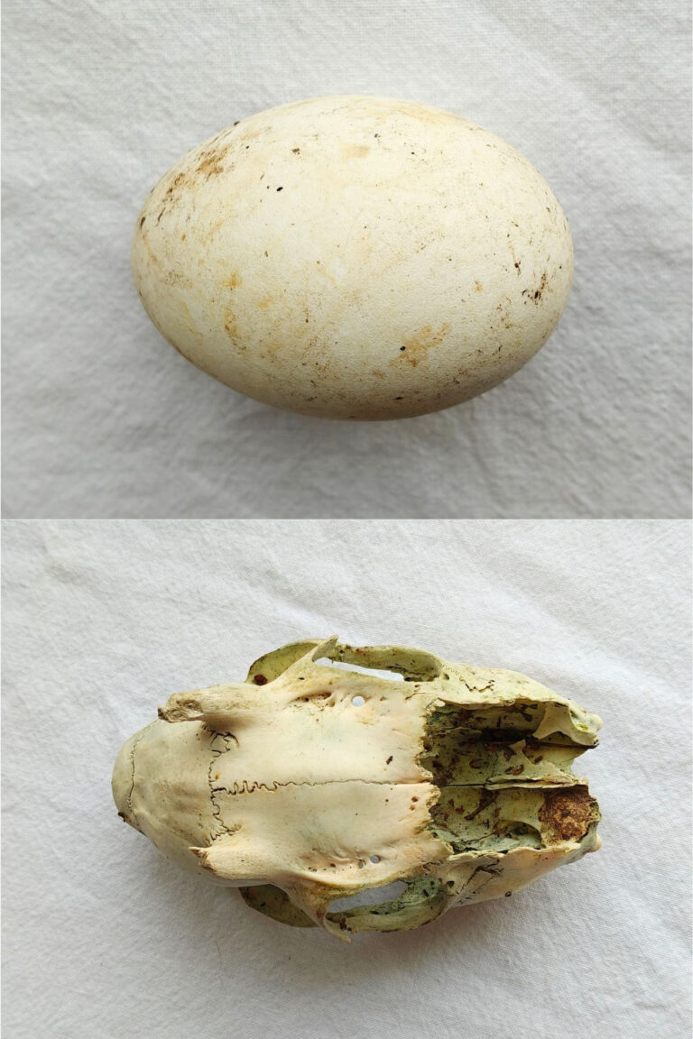 Beige Minimalist Mood Photo Collage - 1