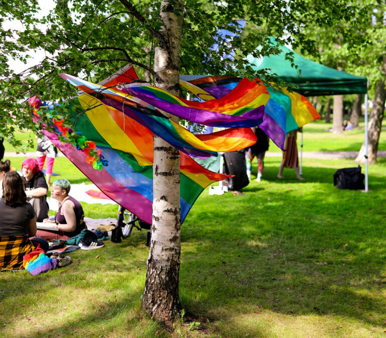 Lohja Pride -piknik Aurlahdessa