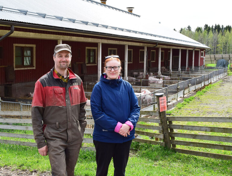 kiven säästöpossu